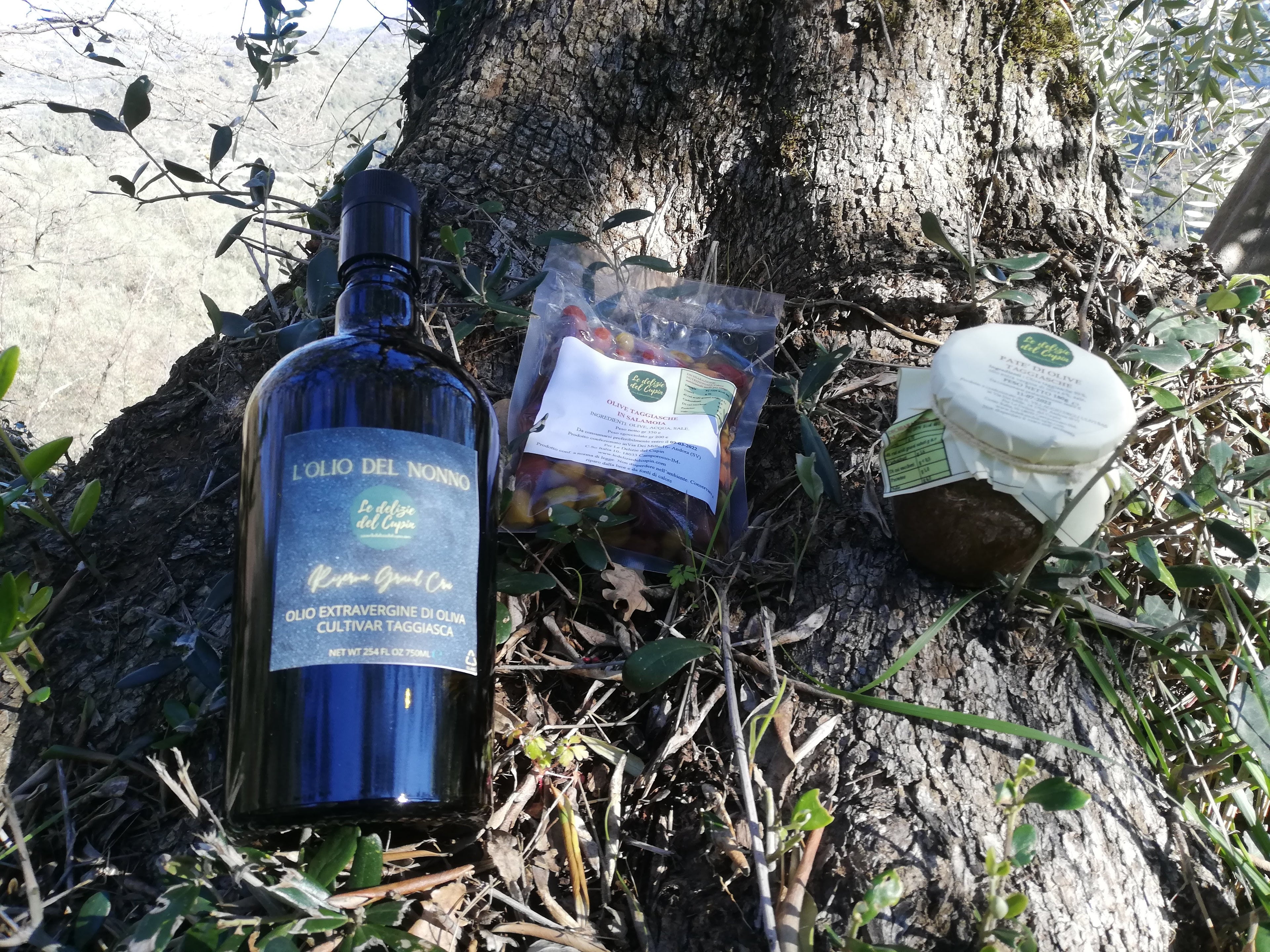 100% Taggiasca Olives in Brine 200g